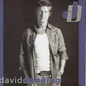 收聽David Dunning的Fool歌詞歌曲