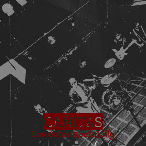 Los Gatos Rockabilly的專輯Cañitas