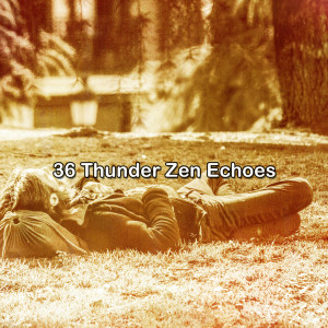Thunderstorm的专辑36 Thunder Zen Echoes