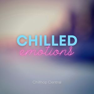 Chilled Emotions dari HIP-HOP LOFI