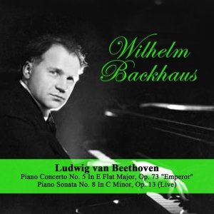 收聽Wilhelm Backaus的Piano Sonata No. 8 In C Minor, Op. 13: I. Grave. Allegro Di Molto E Con Brio歌詞歌曲