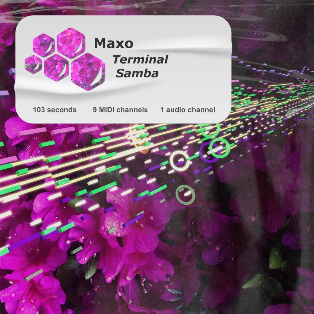 Terminal Samba