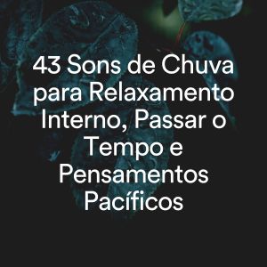43 Sons de Chuva para Relaxamento Interno, Passar o Tempo e Pensamentos Pacíficos