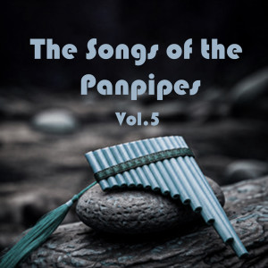 Orquesta Club Miranda的專輯The Songs of the Panpipes, Vol. 5