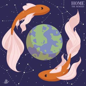 Listen to Home (Distinguish Remix) song with lyrics from Infowler