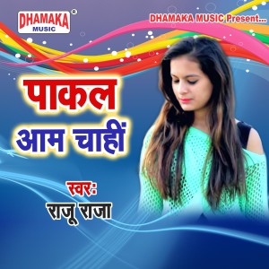 Listen to Pakal Aam Chahi song with lyrics from Raju Raja