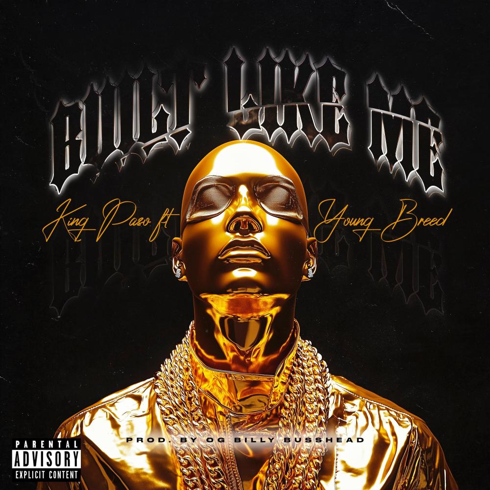 Built Like Me (feat. Young Breed) (Remix|Explicit)