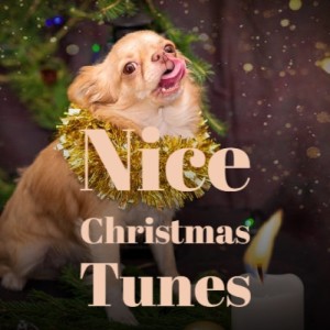 收聽Brendan Hanlon & the Bat Men的Christmas Party歌詞歌曲