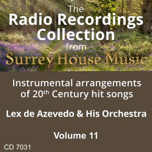 ดาวน์โหลดและฟังเพลง You Are My Lady พร้อมเนื้อเพลงจาก Lex DeAzevedo