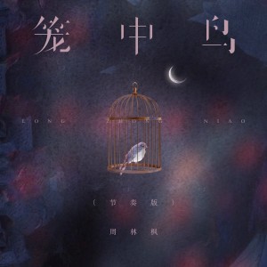 Dengarkan 笼中鸟 (节奏版) lagu dari 周林枫 dengan lirik