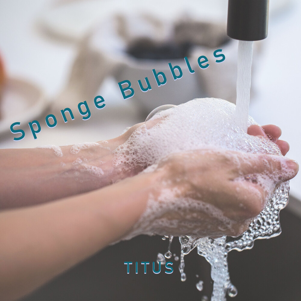 Sponge Bubbles