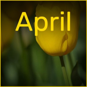 Album April oleh Various
