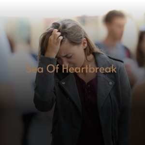 Album Sea of Heartbreak from Various