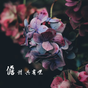 收聽小潘仔的儋州 共有嘿歌詞歌曲