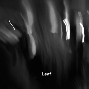 Listen to Leaf song with lyrics from Gethen