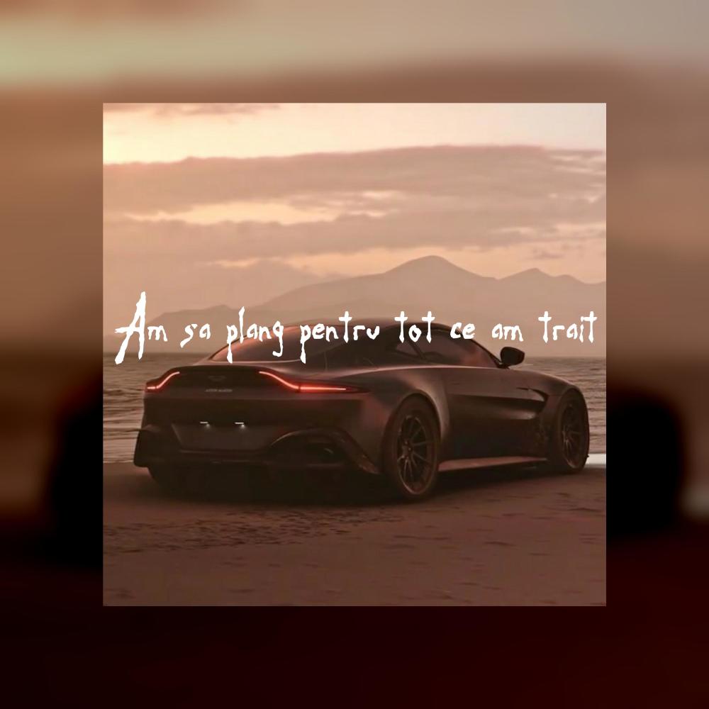 Am sa plang pentru tot ce-am trait