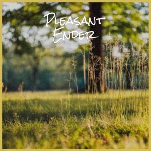 Album Pleasant Ender from Various