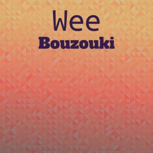 Various Artists的專輯Wee Bouzouki