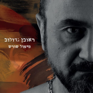 收听Reuven Gadulov的את כמו מים歌词歌曲
