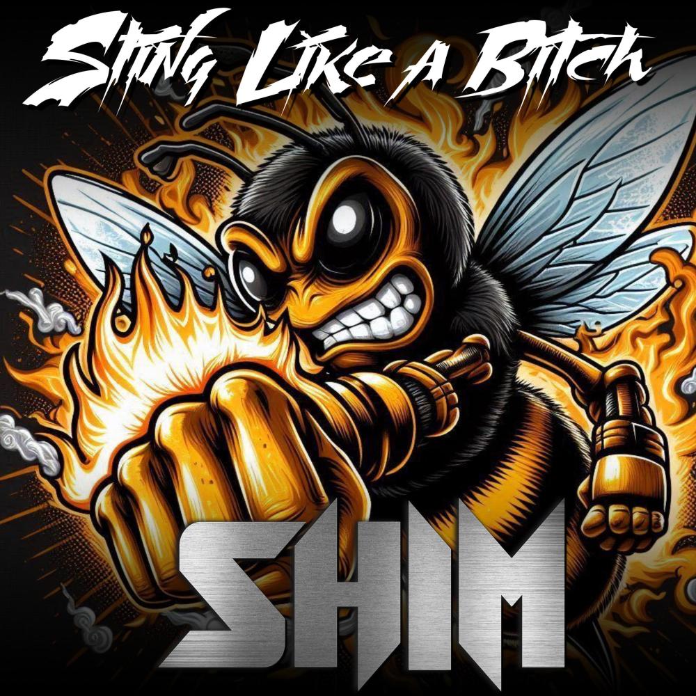 Sting like a ***** (Radio Edit)