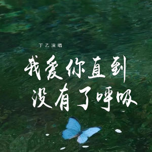 Album 我爱你直到没有了呼吸 from 丁乙