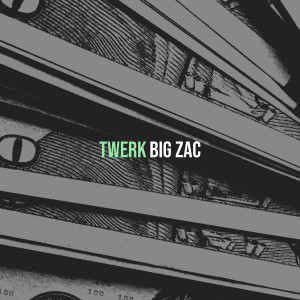 Listen to Twerk (Go Girl) song with lyrics from Big Zac