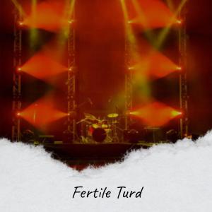 Album Fertile Turd from Various