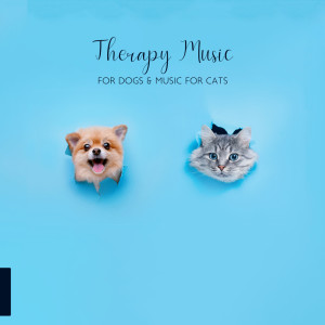 Album Therapy Music for Dogs & Music for Cats with Healing Sounds of Nature (Birds, Sea Waves & Gentle Rain), Your Favorite Pet Lullaby, Feline & Canine Relaxation oleh Pet Music Academy