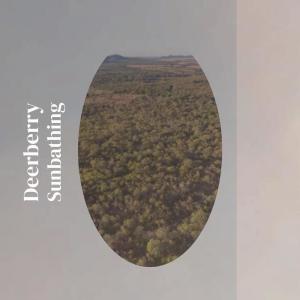 Listen to Empty song with lyrics from Nandie Vank