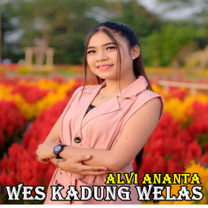 Dengarkan lagu Wes Kadung Welas (Explicit) nyanyian Alvi Ananta dengan lirik