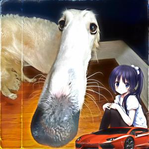 ดาวน์โหลดและฟังเพลง Let Me Do It For You (Slowed) (Explicit) พร้อมเนื้อเพลงจาก aMOGUS