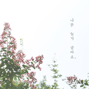Listen to Don't forget me song with lyrics from 몽니