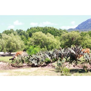 ดาวน์โหลดและฟังเพลง Where you go พร้อมเนื้อเพลงจาก THEEND47