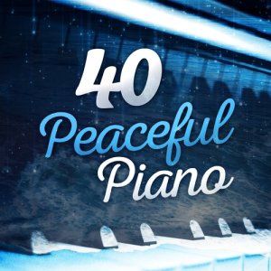 收聽Artur Pizarro的9 Mazurkas, Op. 25 No. 7 in F-Sharp Minor歌詞歌曲