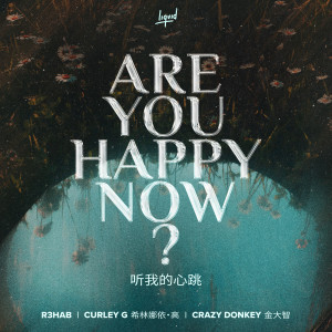 希林娜依高的專輯聽我的心跳 (Are You Happy Now)