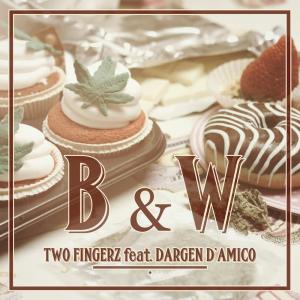 Two Fingerz的專輯B&W (Contro la crisi)