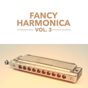 ดาวน์โหลดและฟังเพลง Turkish March พร้อมเนื้อเพลงจาก Hi-Fimonics