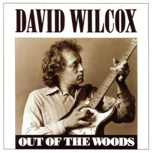 收聽David Wilcox的Bad Apple歌詞歌曲