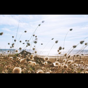 Listen to Sunshine Sunday song with lyrics from Deep Sleep