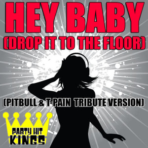 收聽Party Hit Kings的Hey Baby (Drop It To The Floor) (Pitbull & T-Pain Tribute Version)歌詞歌曲
