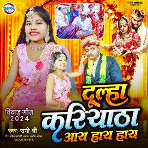 Listen to Dulha Kariyatha Aay Hay Hay song with lyrics from Rani Shree
