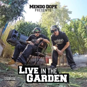 ดาวน์โหลดและฟังเพลง Weed Music (Live) พร้อมเนื้อเพลงจาก Mendo Dope