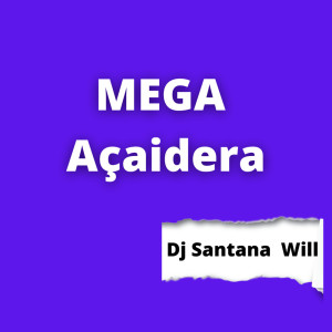 Listen to Mega Açaidera (Explicit) song with lyrics from DJ Santana Will