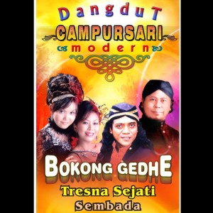 Dengarkan Sak Karepmu lagu dari P. Witoyo dengan lirik