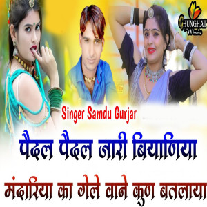 Listen to पैदल पैदल जारी बियाणिया मंदारिया का गेले वाने कुण बतलाया song with lyrics from Samdu Gurjar