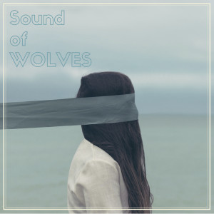 收听Sound of Wolves的Without Reason歌词歌曲