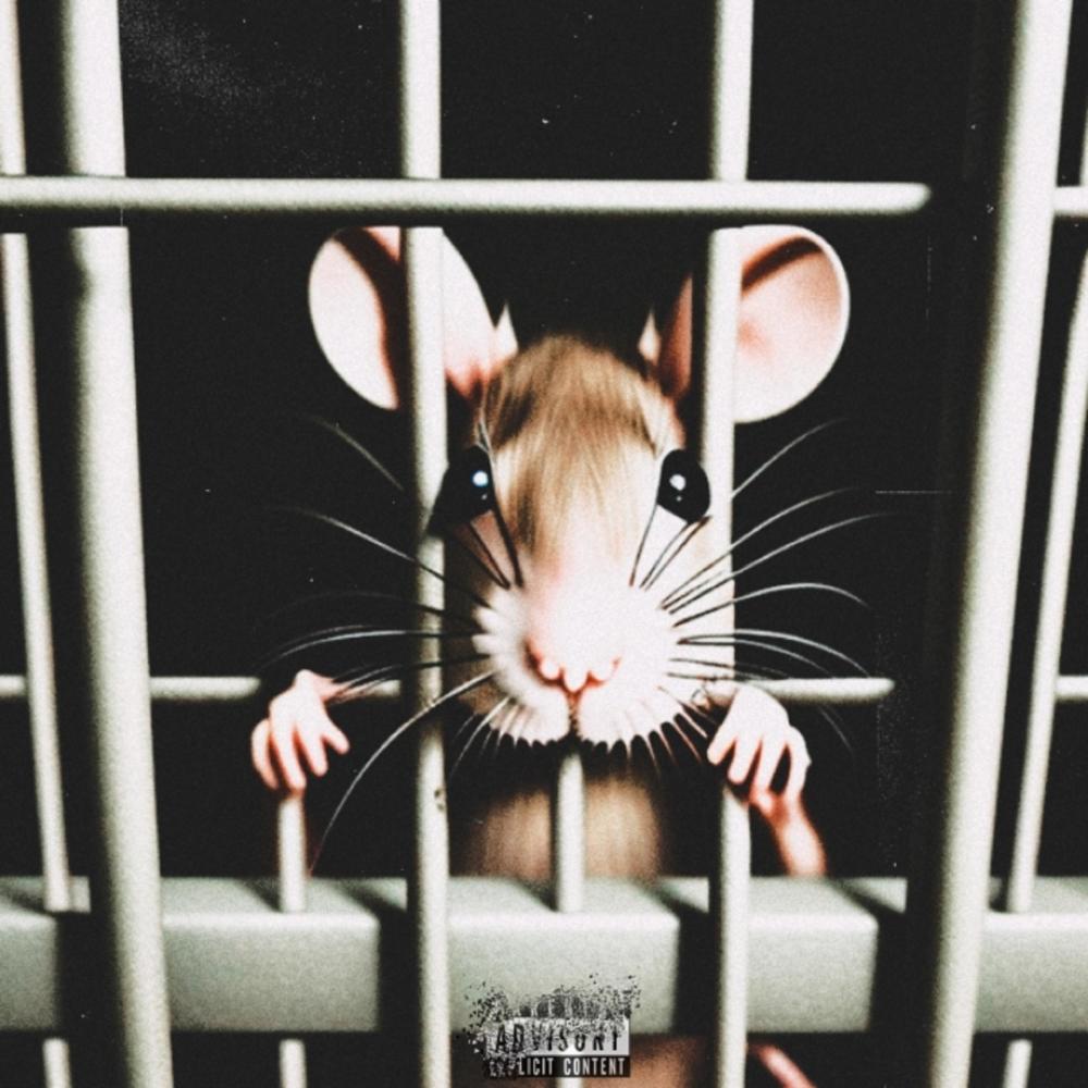 Maroto (feat. Blurg) (Explicit)