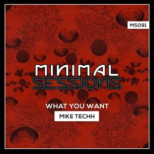 Mike Techh的專輯What You Want