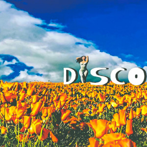 收聽MAC BACKWARDS的Disco (Explicit)歌詞歌曲