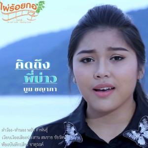 ดาวน์โหลดและฟังเพลง เสียงพิณอีสาน พร้อมเนื้อเพลงจาก บูม ชญาภา